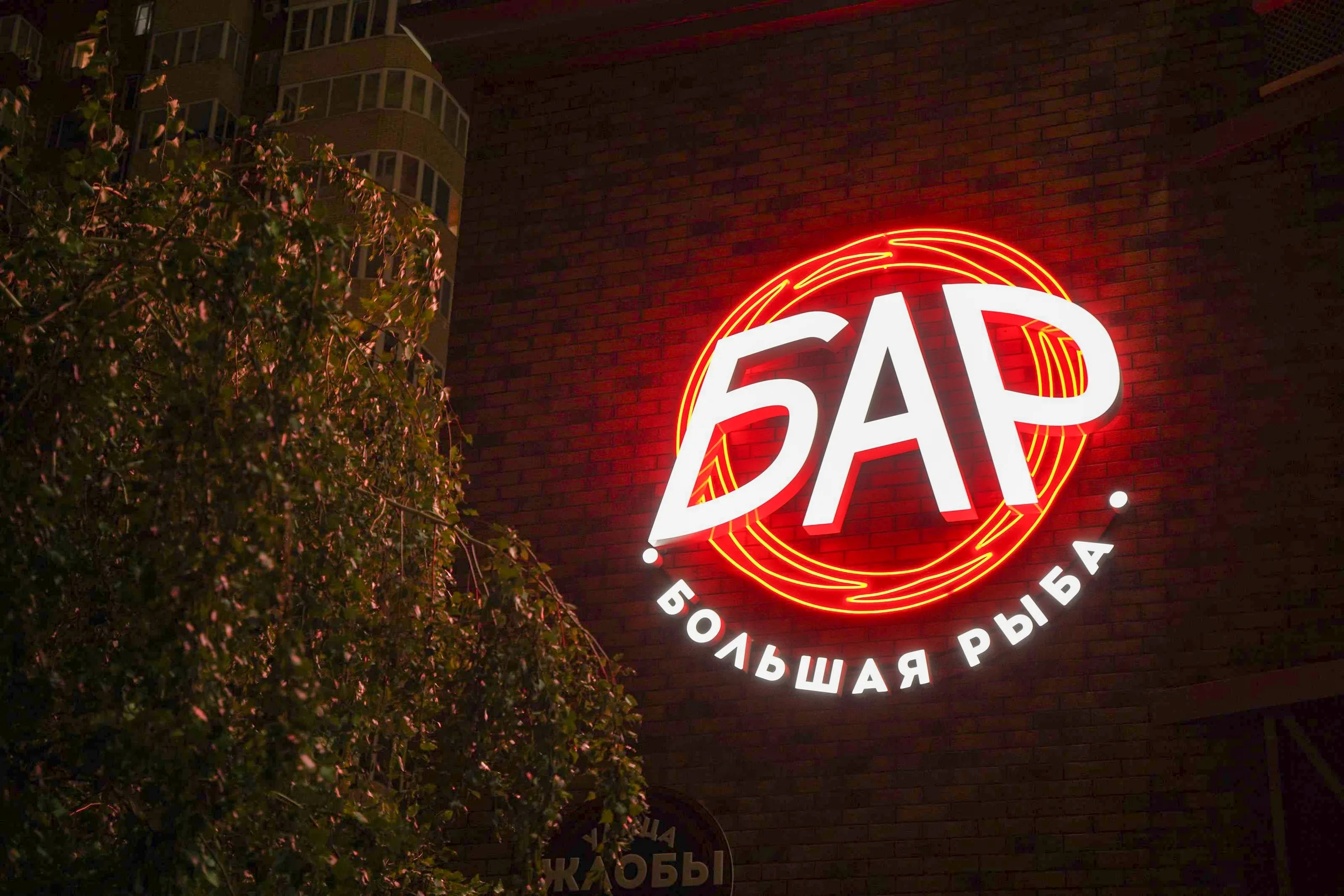 бар Большая рыба1