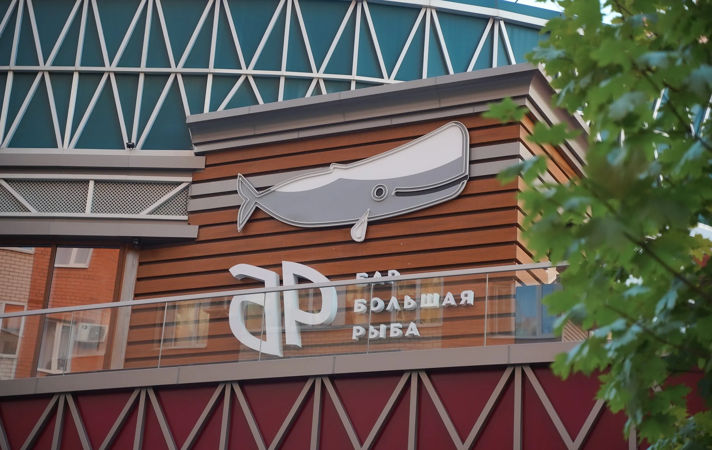 бар Большая рыба3