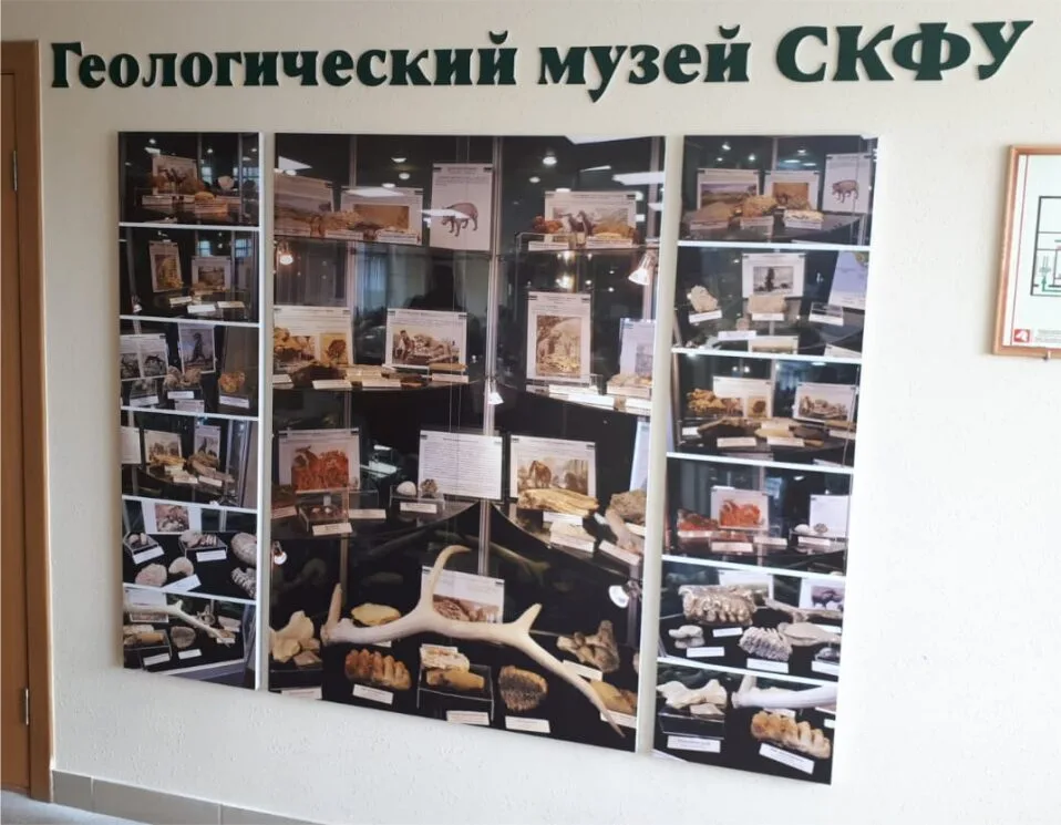 Интерьерная реклама