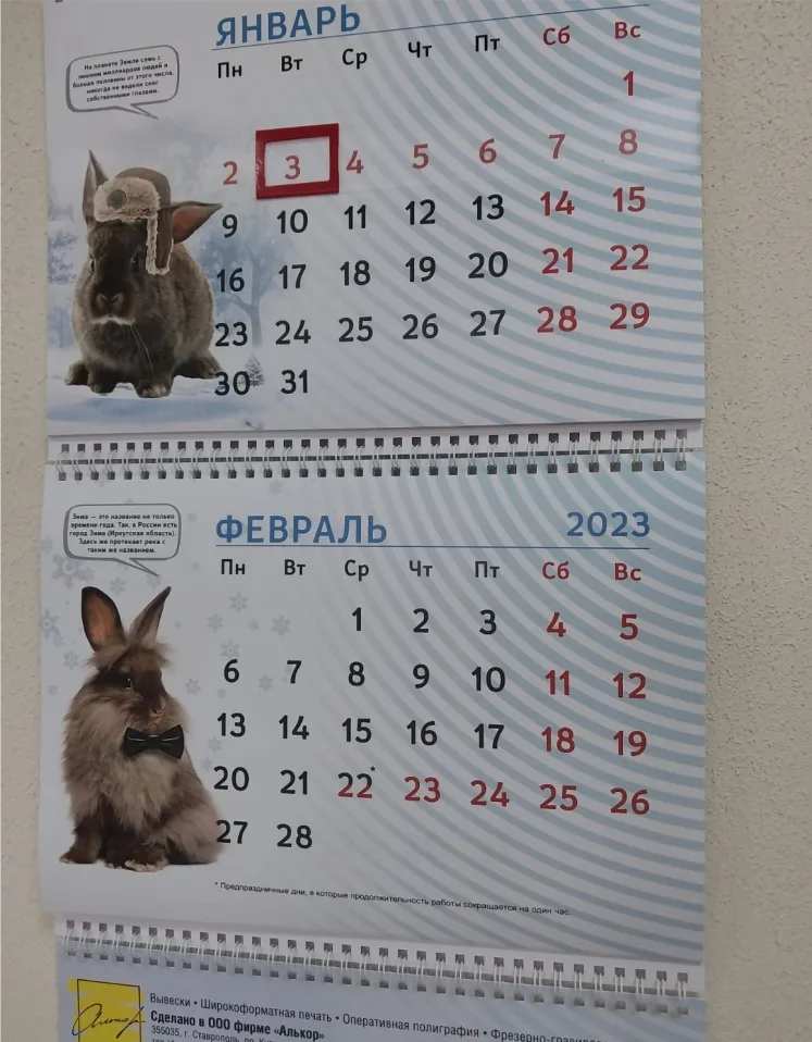 Полиграфия